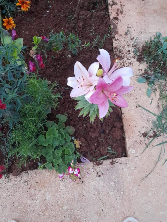 Rey Garden 2 Hotel Vlorë Eksteriør billede